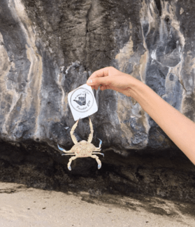 captura-de-pantalla-2016-10-22-a-las-21-54-30